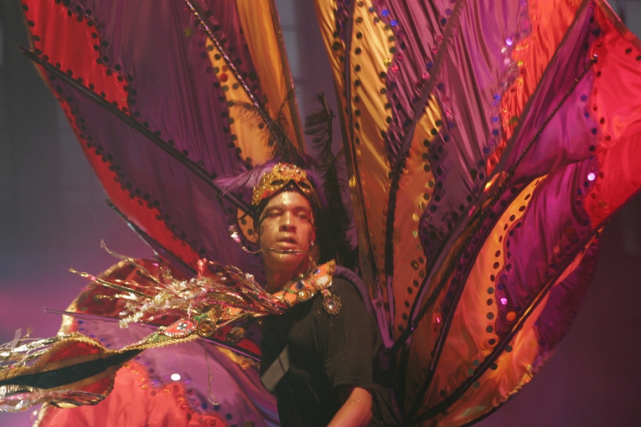 Carnival | Sunshine International Arts